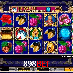 Descubra o Mundo do Cassino Online com 898bet